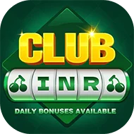 Bingo 101 Apk